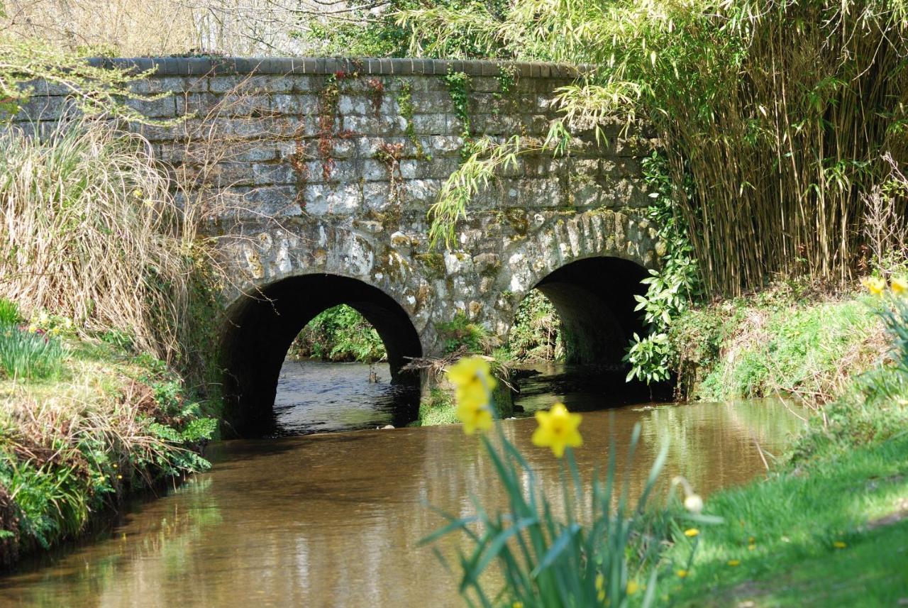 Bowgie At Trewerry - Away From It All, Close To Everywhere *