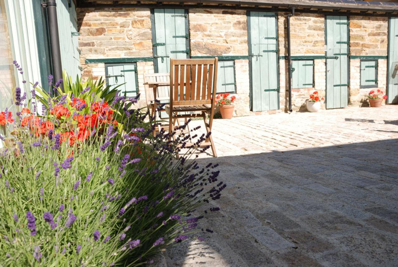 Holiday home Bowgie At Trewerry - Away From It All, Close To Everywhere *
